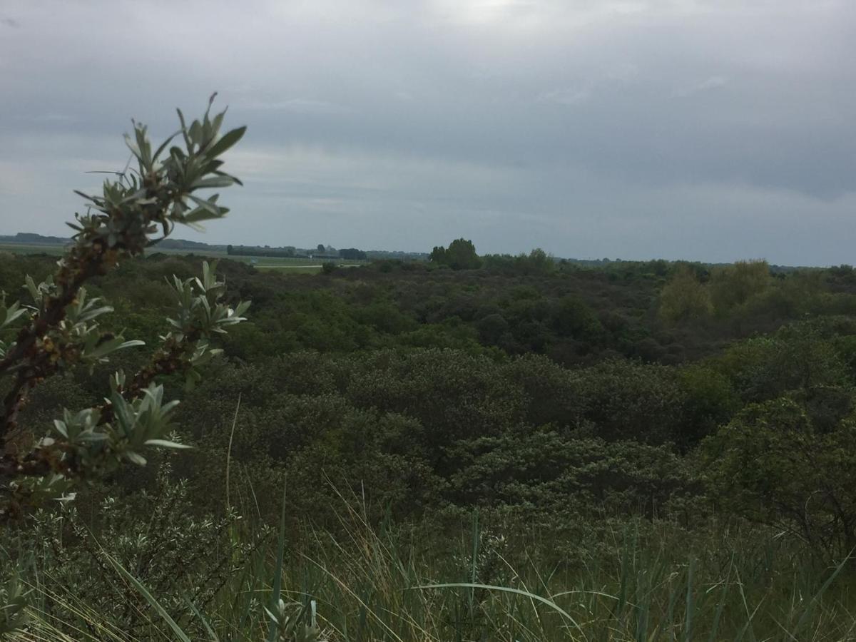 סירוסקרקה Olmenduin | Chalet 26 | Zeeland מראה חיצוני תמונה